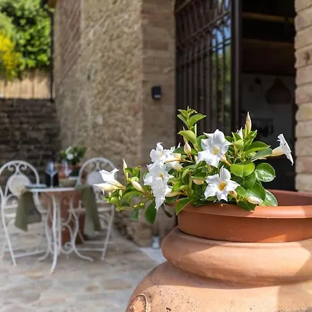 Villa Il Poderino - Lussuoso Casolare Di Design